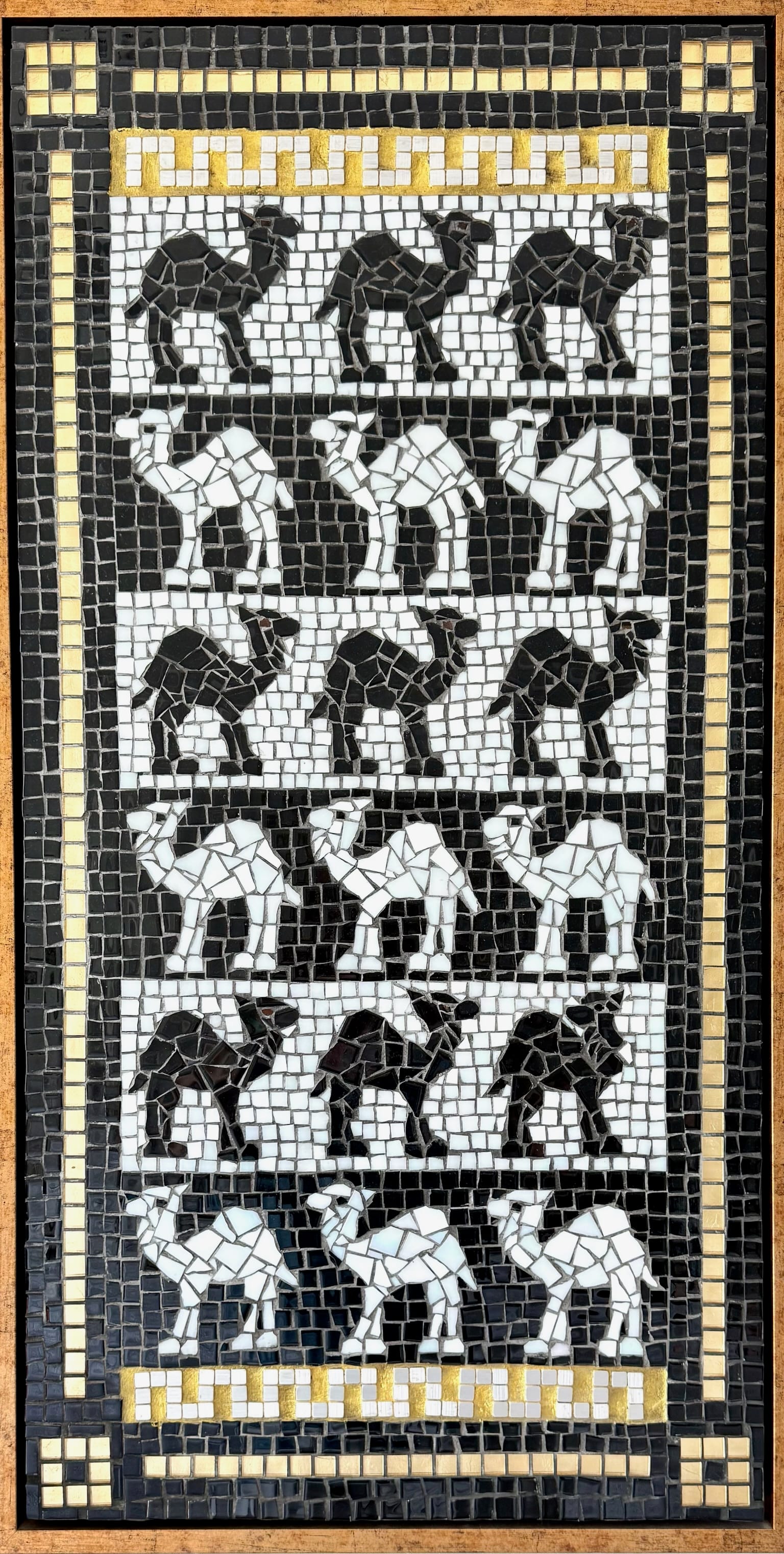 March of the Camels 