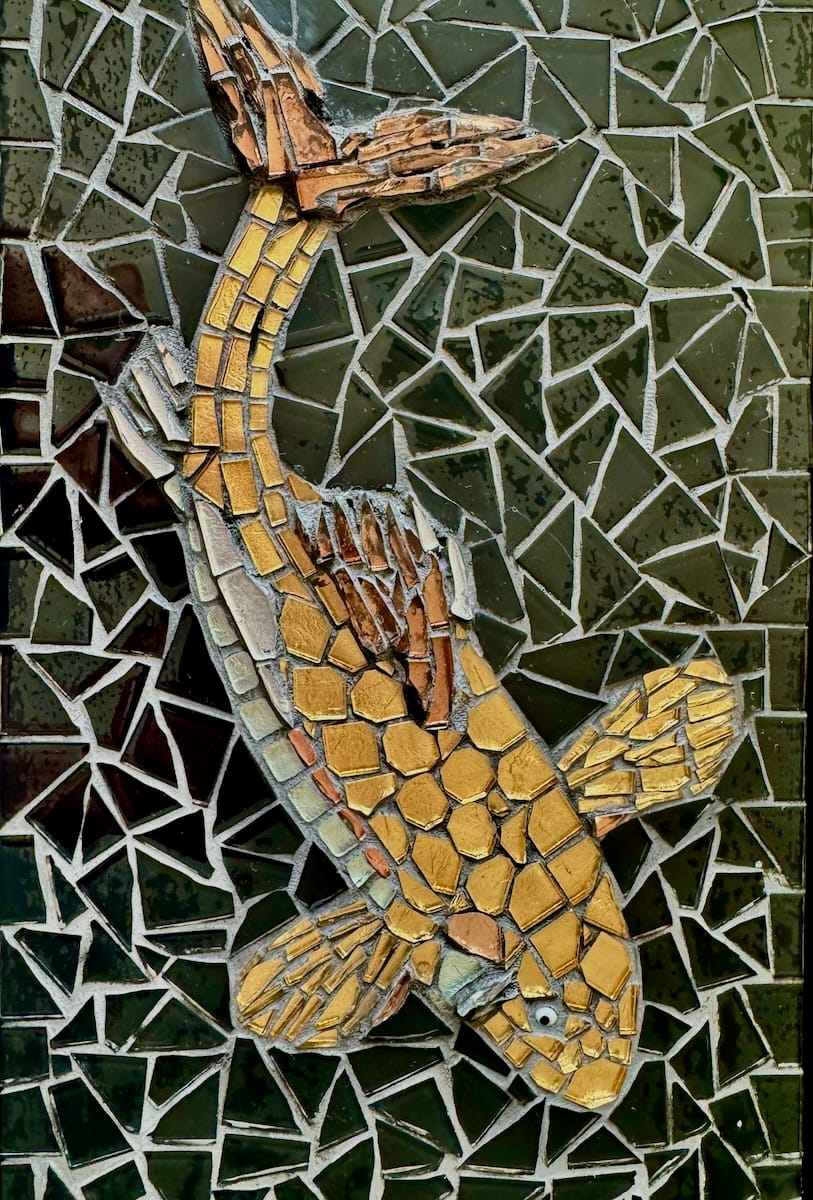 Gold Koi Carp Close Up
