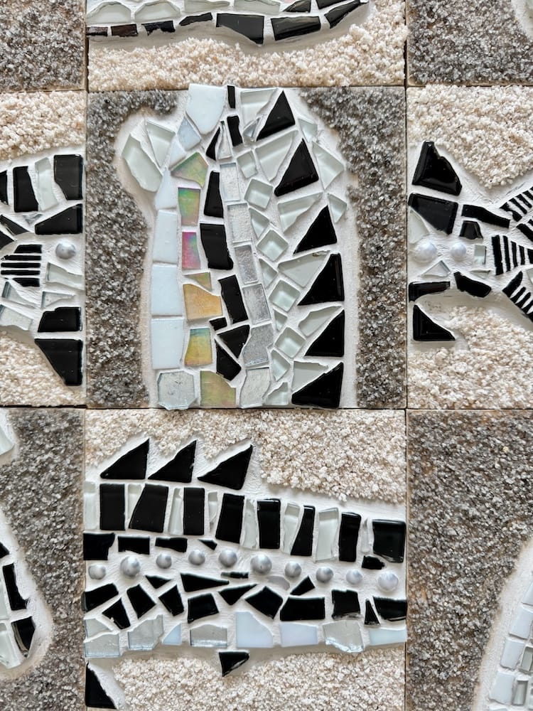 Shoal in Shards close up